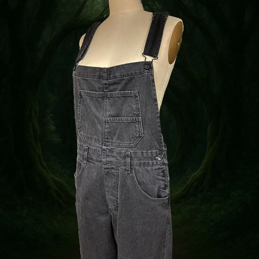 We The Free Ziggy Slouchy Overalls - Picture 3 of 7